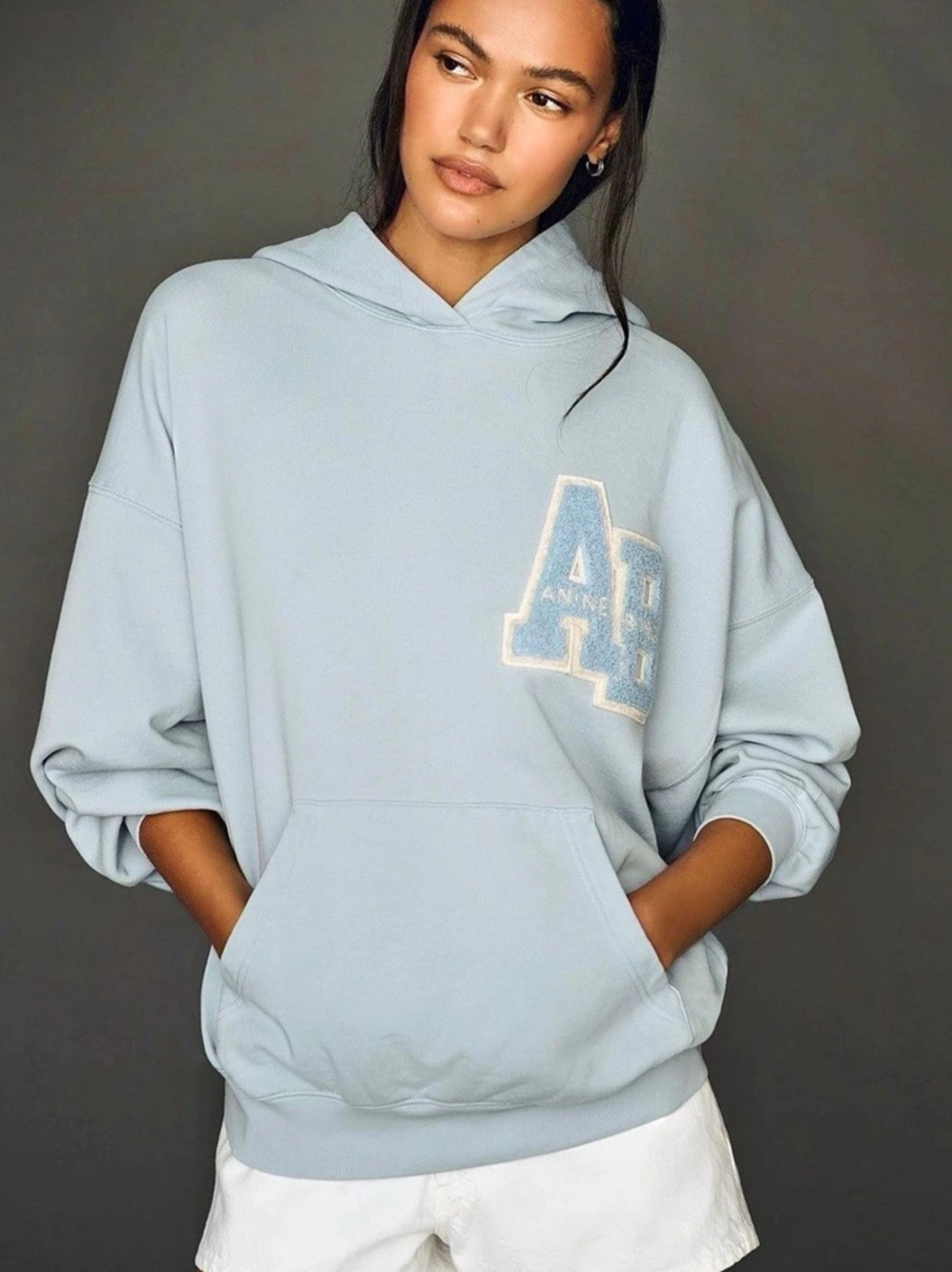 Anine Bing Harvey Sweatshirt Letterman Blue Hoodie